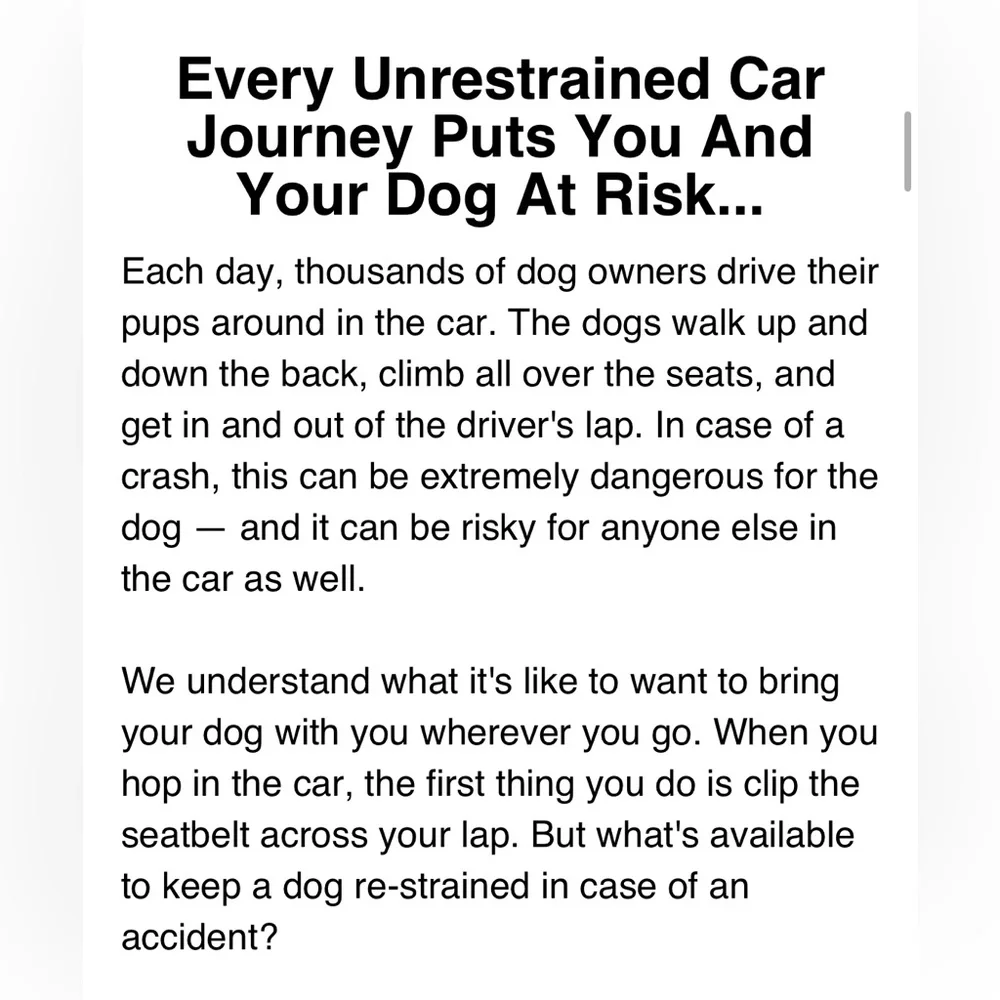 PAWSAFE dog seatbelt- travel safety for dogs